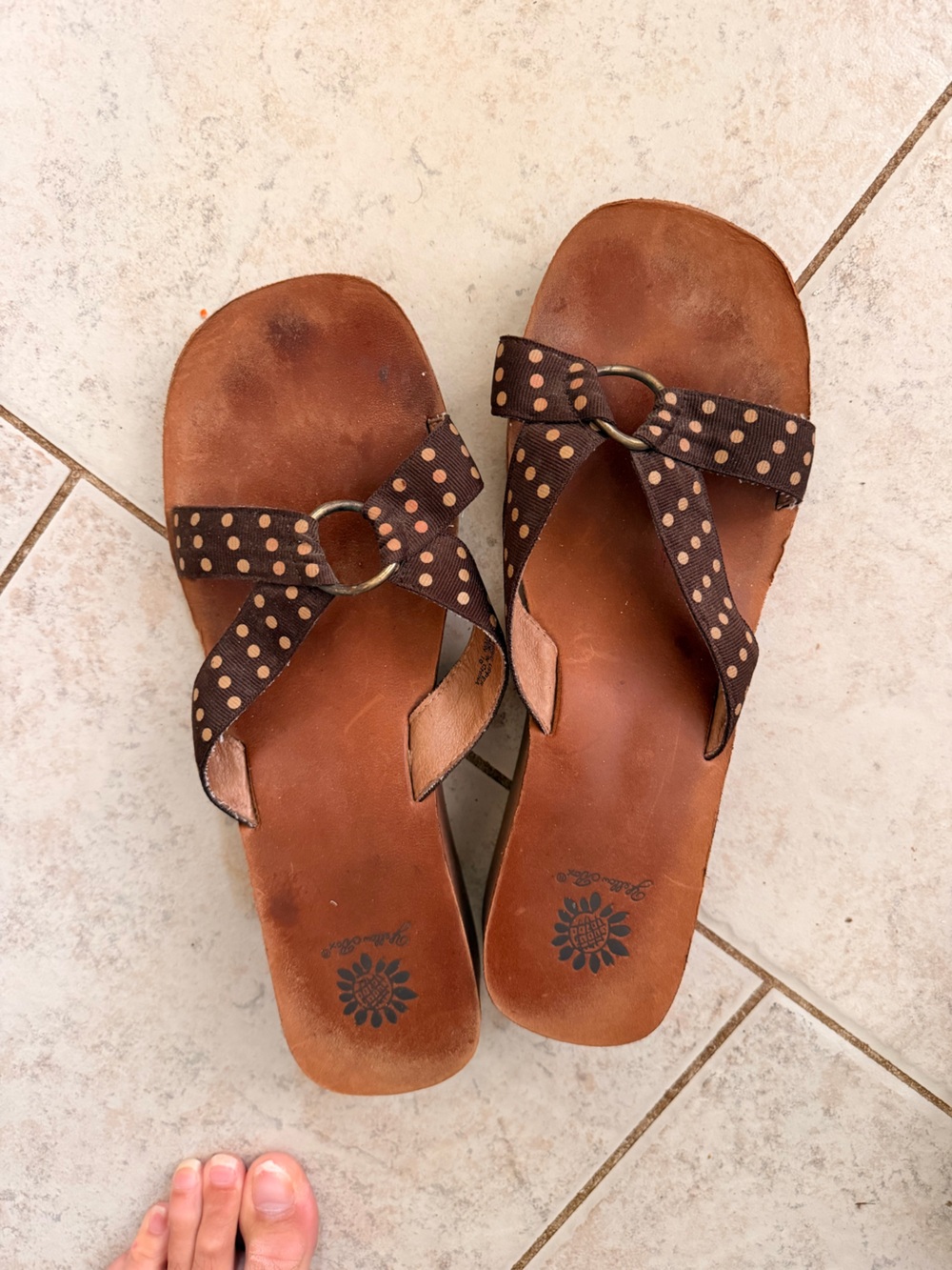 Yellow Box Brown Polka Dot Leather Slide Sandals
